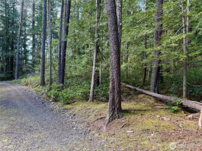 1111 Tarte Road , Friday Harbor, WA 98250 - Photo 9