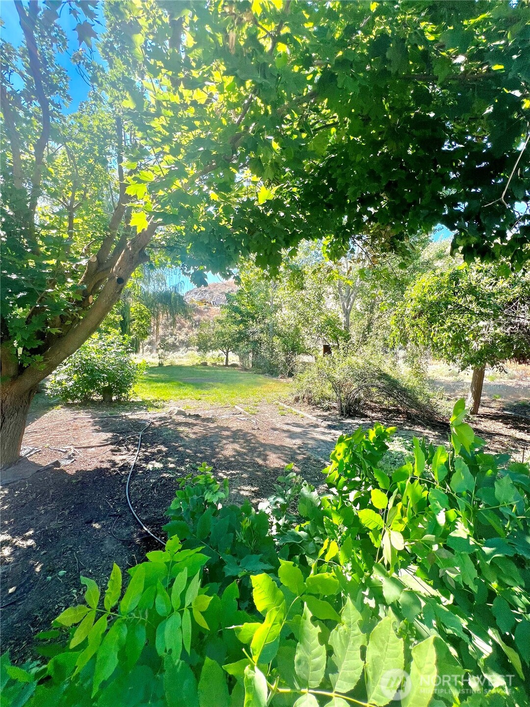 271 A Highway 20 , Tonasket, WA 98855