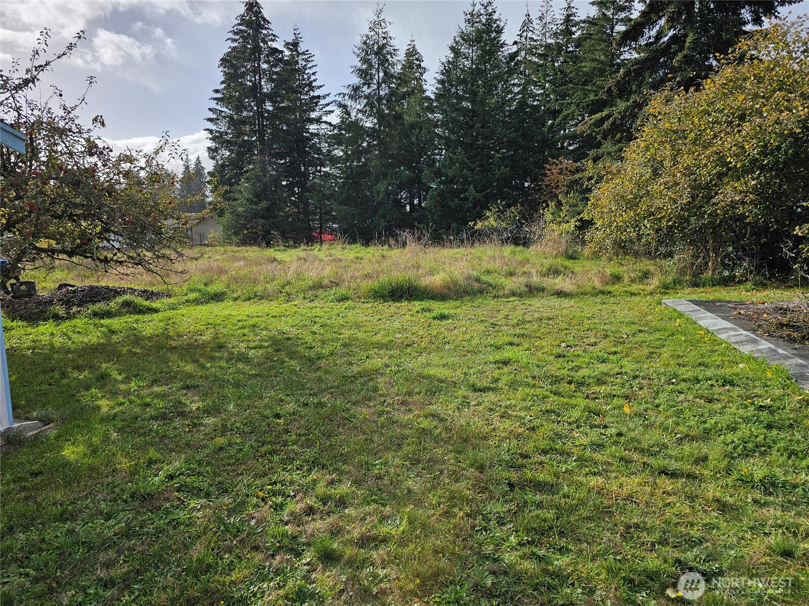 120 S Park , Oakville, WA 98568