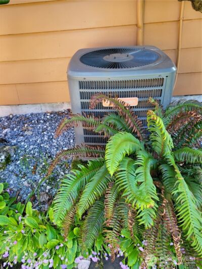 485 Spiketon Road , Buckley, WA 98321 - Photo 24