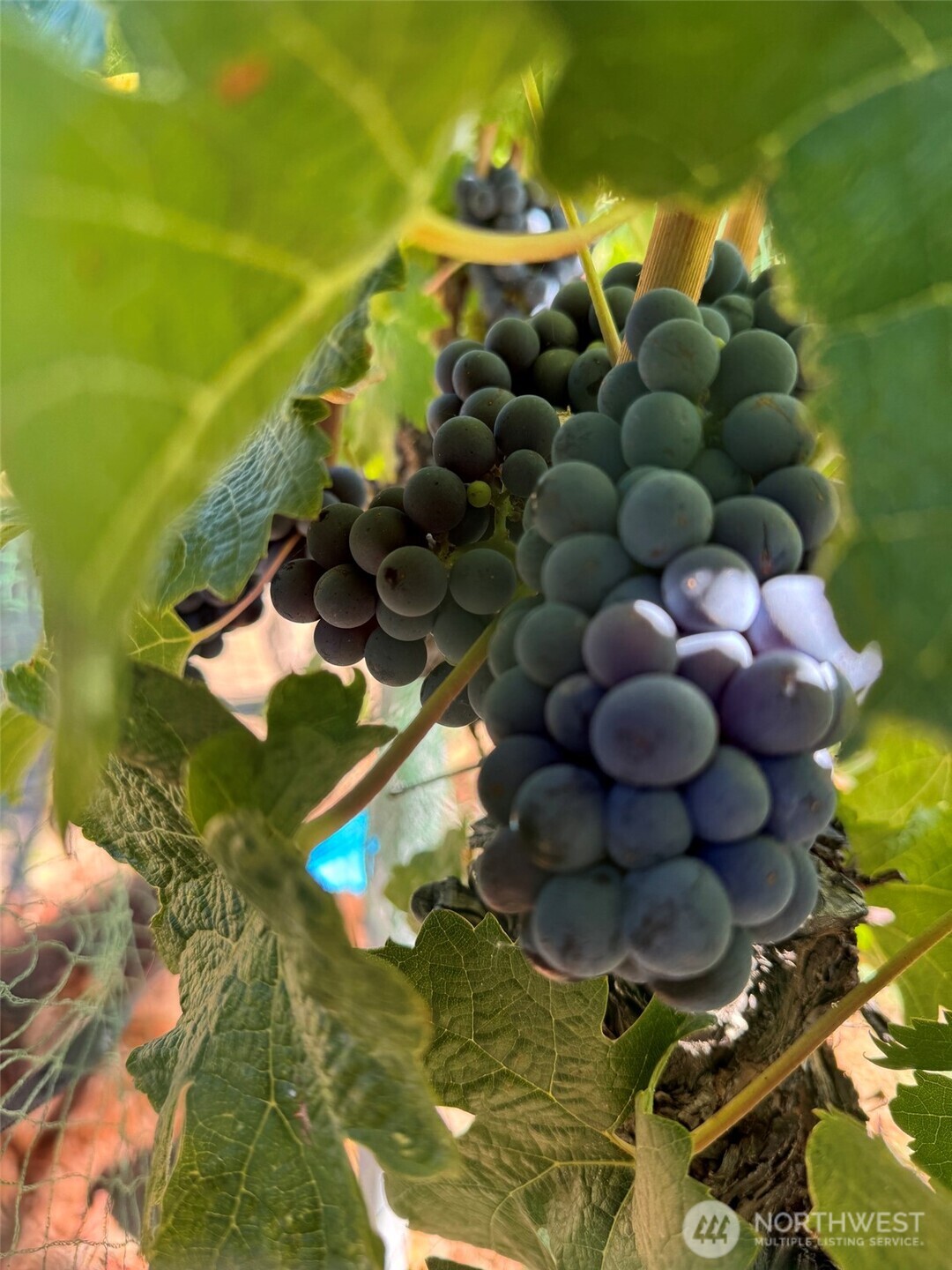 70 E Wapato Lake Road , Manson, WA 98831