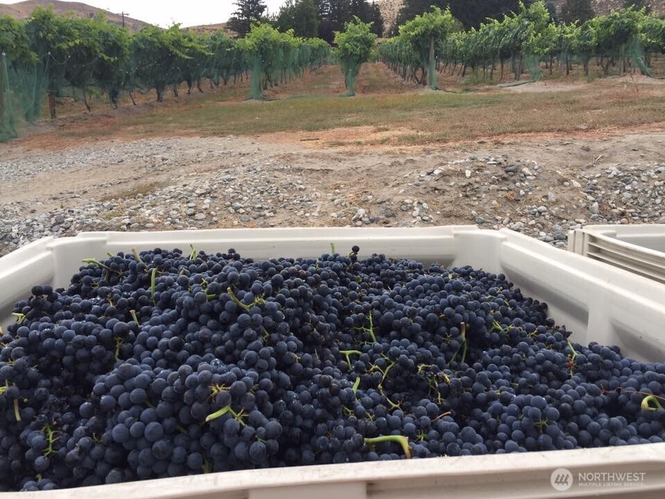 70 E Wapato Lake Road , Manson, WA 98831