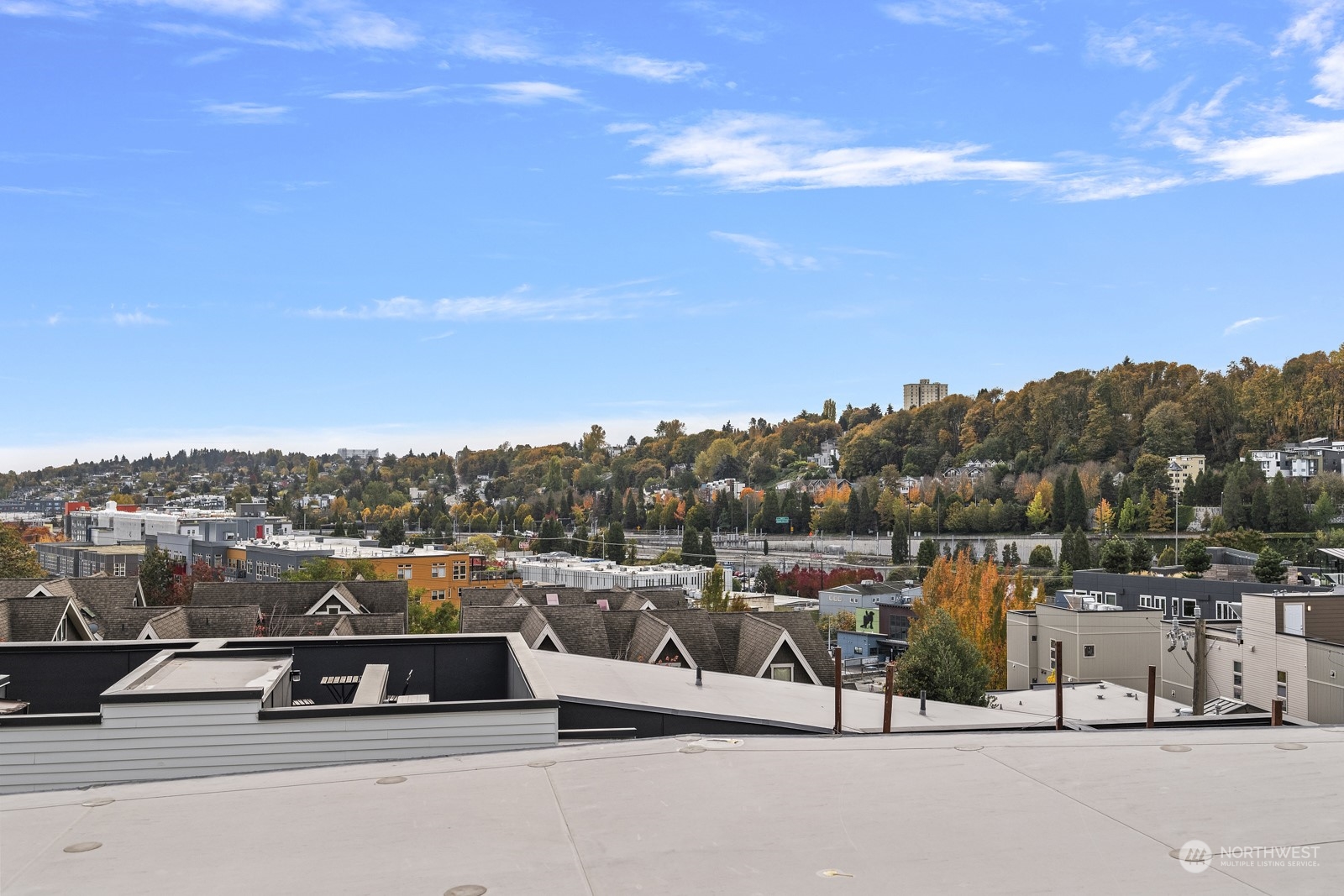 1620 S Lane #E, Seattle, WA 98144