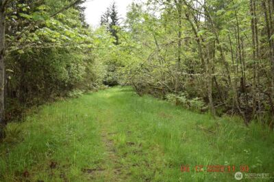 0 Lot 40 Township Line Road , Port Angeles, WA 98362