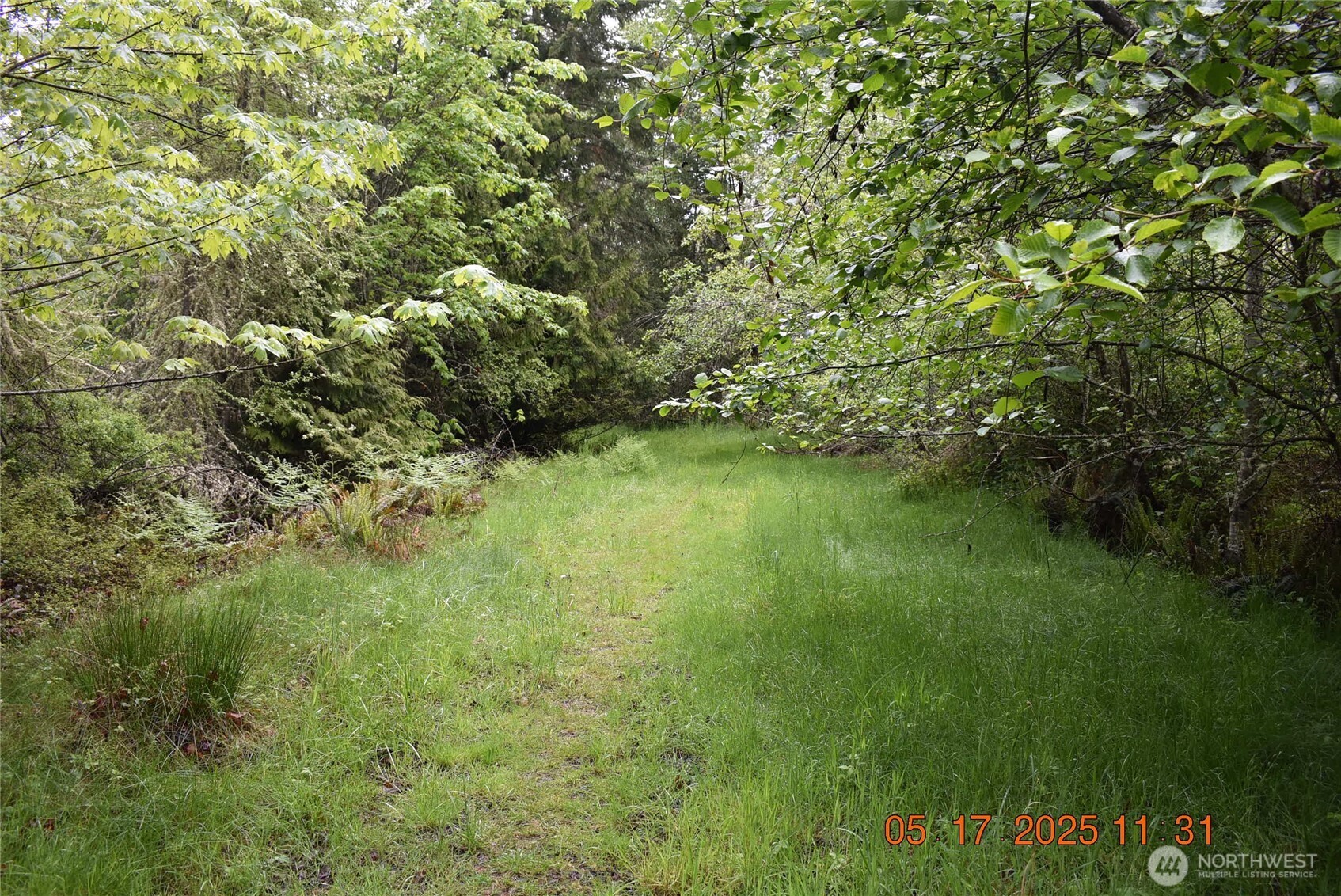 0 Lot 40 Township Line Road , Port Angeles, WA 98362