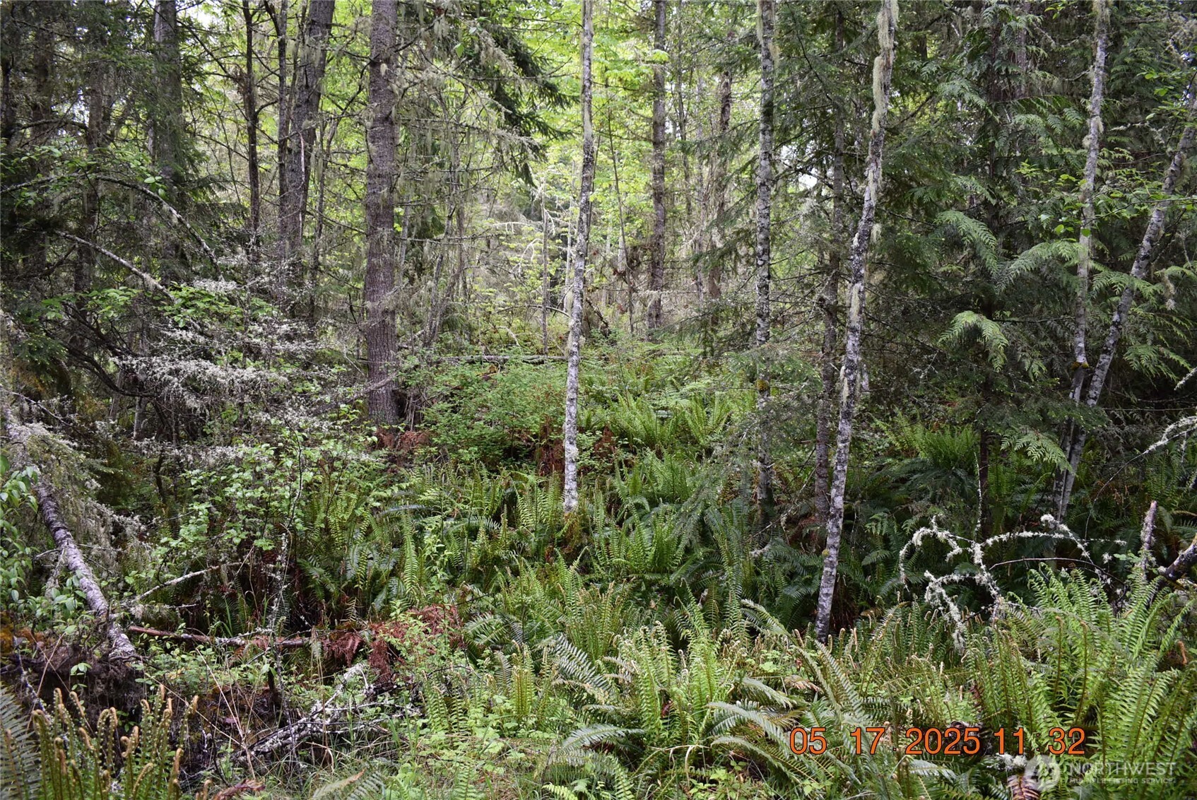 0 Lot 40 Township Line Road , Port Angeles, WA 98362