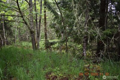 0 Lot 40 Township Line Road , Port Angeles, WA 98362 - Photo 12