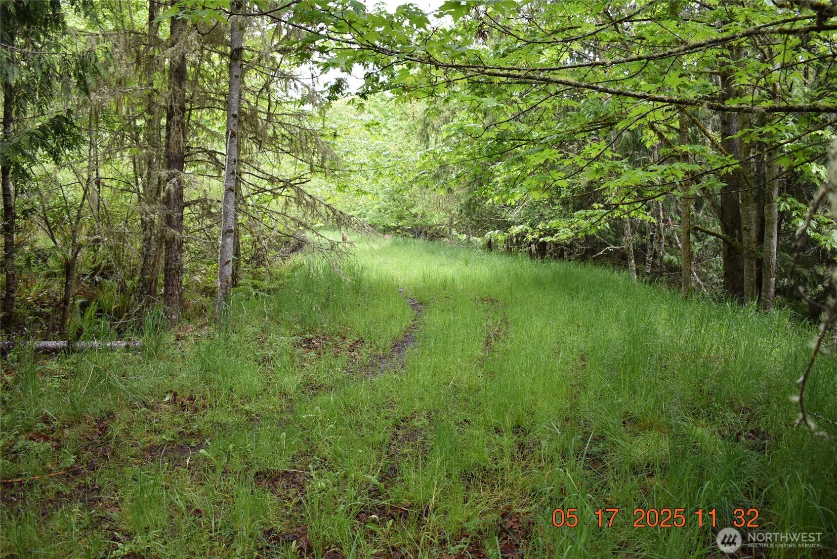 0 Lot 40 Township Line Road , Port Angeles, WA 98362