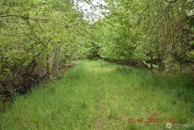 0 Lot 40 Township Line Road , Port Angeles, WA 98362 - Photo 14