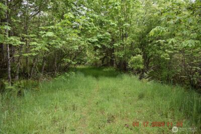 0 Lot 40 Township Line Road , Port Angeles, WA 98362 - Photo 15