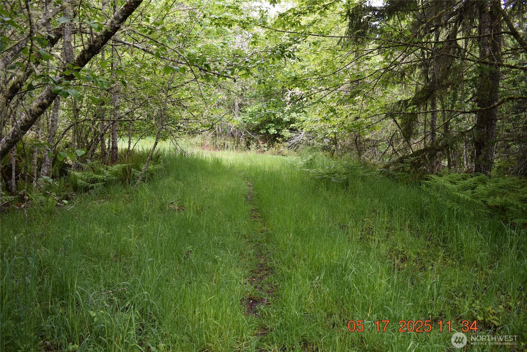 0 Lot 40 Township Line Road , Port Angeles, WA 98362