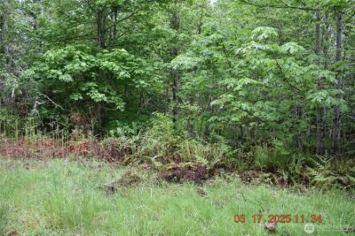 0 Lot 40 Township Line Road , Port Angeles, WA 98362 - Photo 18