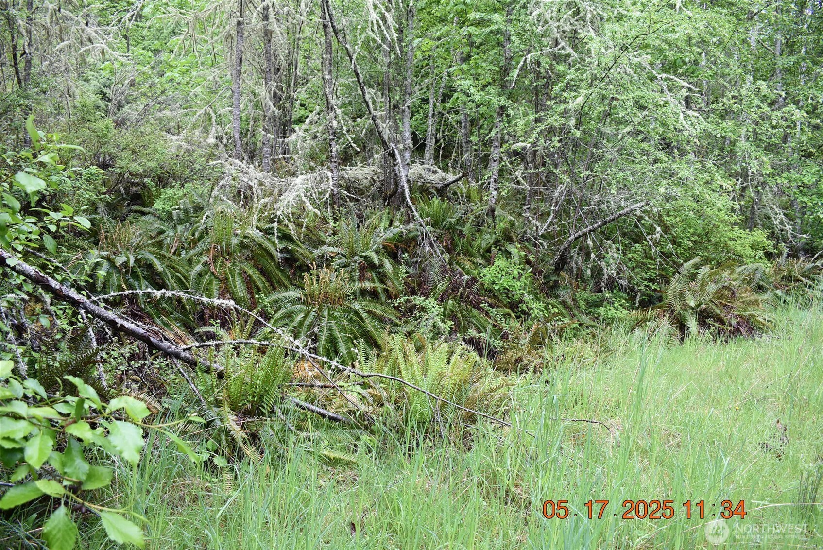 0 Lot 40 Township Line Road , Port Angeles, WA 98362