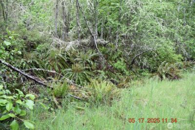 0 Lot 40 Township Line Road , Port Angeles, WA 98362 - Photo 19