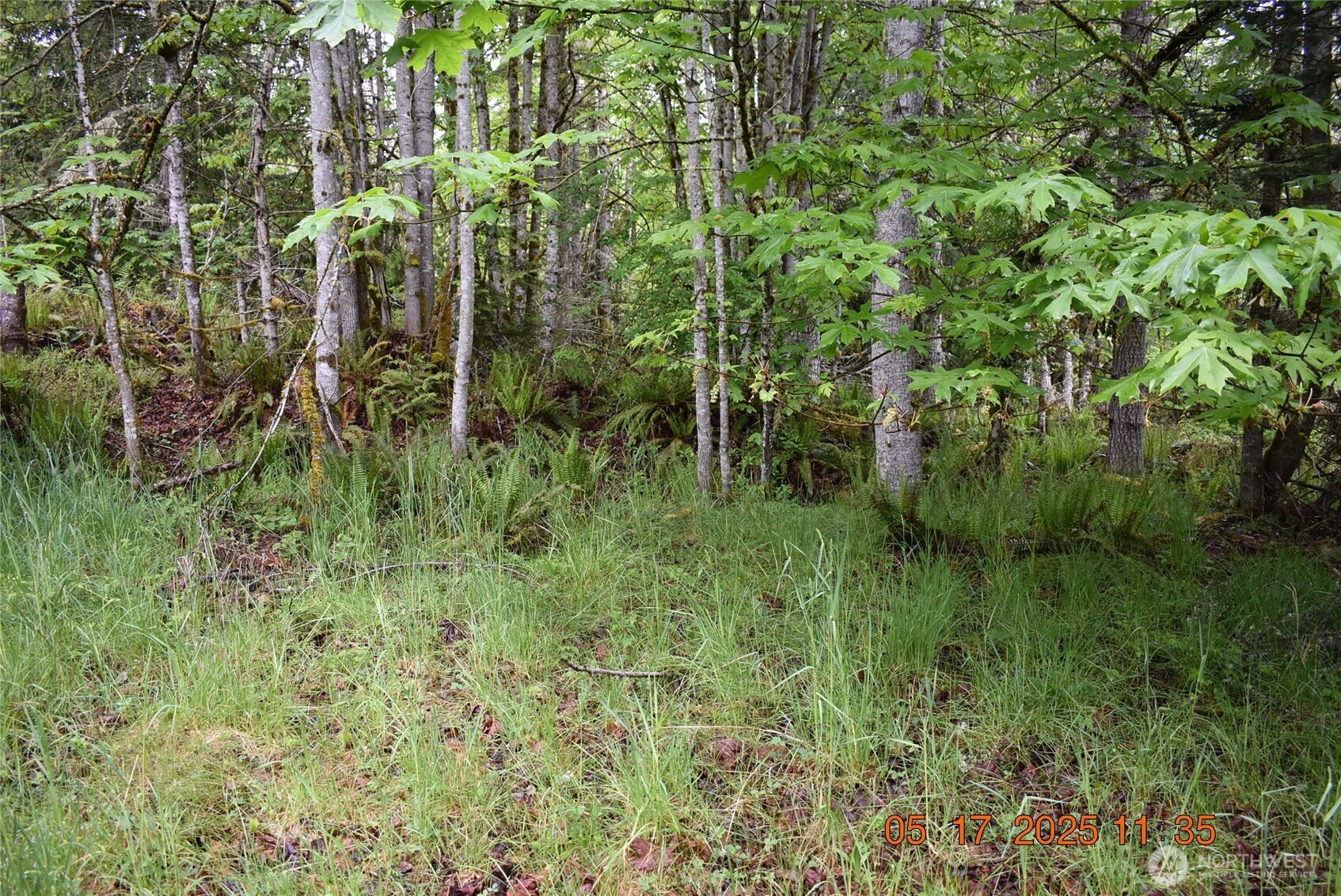 0 Lot 40 Township Line Road , Port Angeles, WA 98362