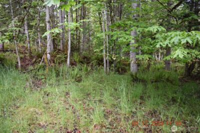0 Lot 40 Township Line Road , Port Angeles, WA 98362 - Photo 20