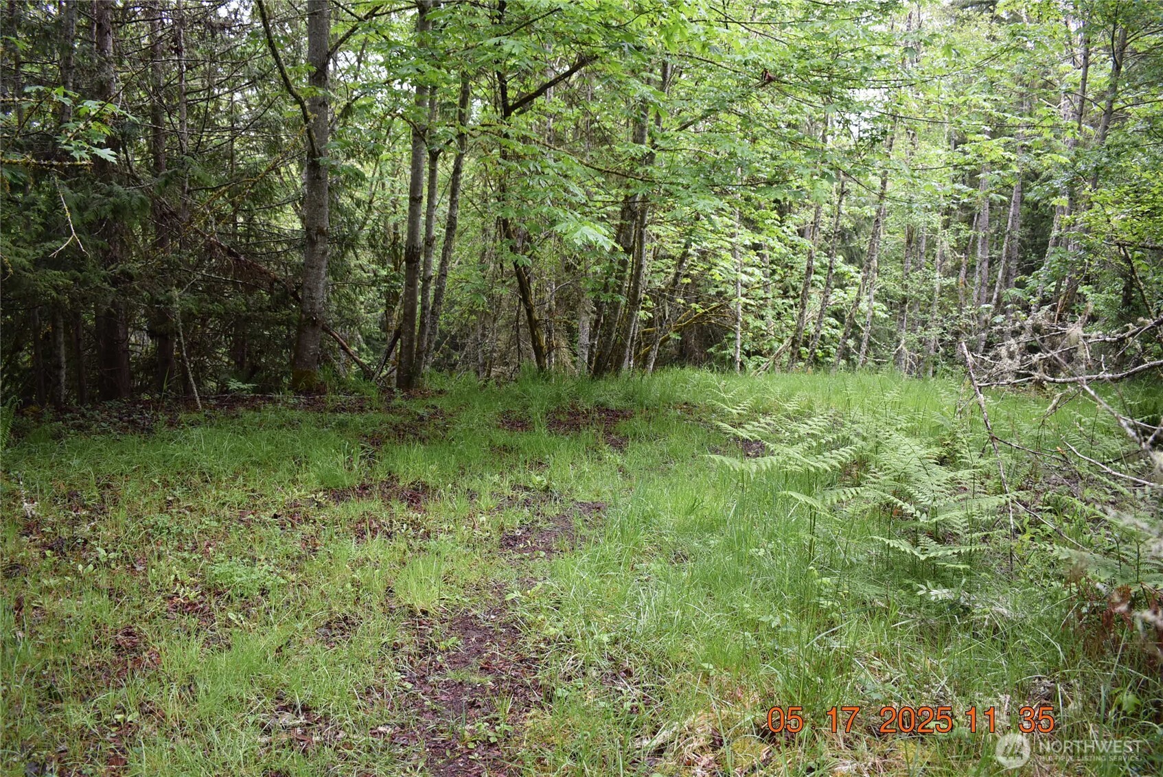 0 Lot 40 Township Line Road , Port Angeles, WA 98362