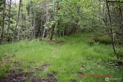 0 Lot 40 Township Line Road , Port Angeles, WA 98362 - Photo 22