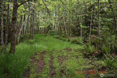 0 Lot 40 Township Line Road , Port Angeles, WA 98362 - Photo 23