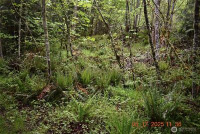 0 Lot 40 Township Line Road , Port Angeles, WA 98362 - Photo 24