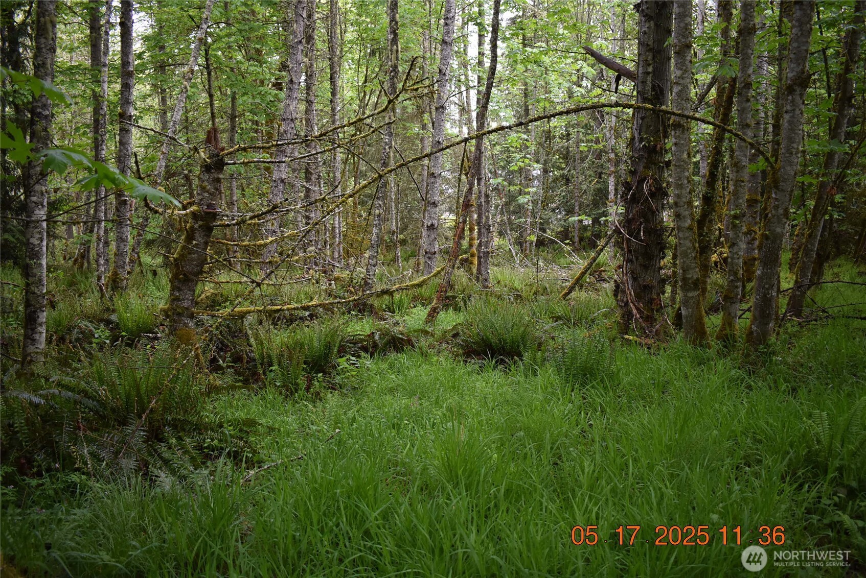 0 Lot 40 Township Line Road , Port Angeles, WA 98362