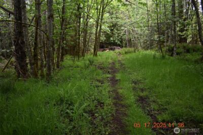 0 Lot 40 Township Line Road , Port Angeles, WA 98362 - Photo 26