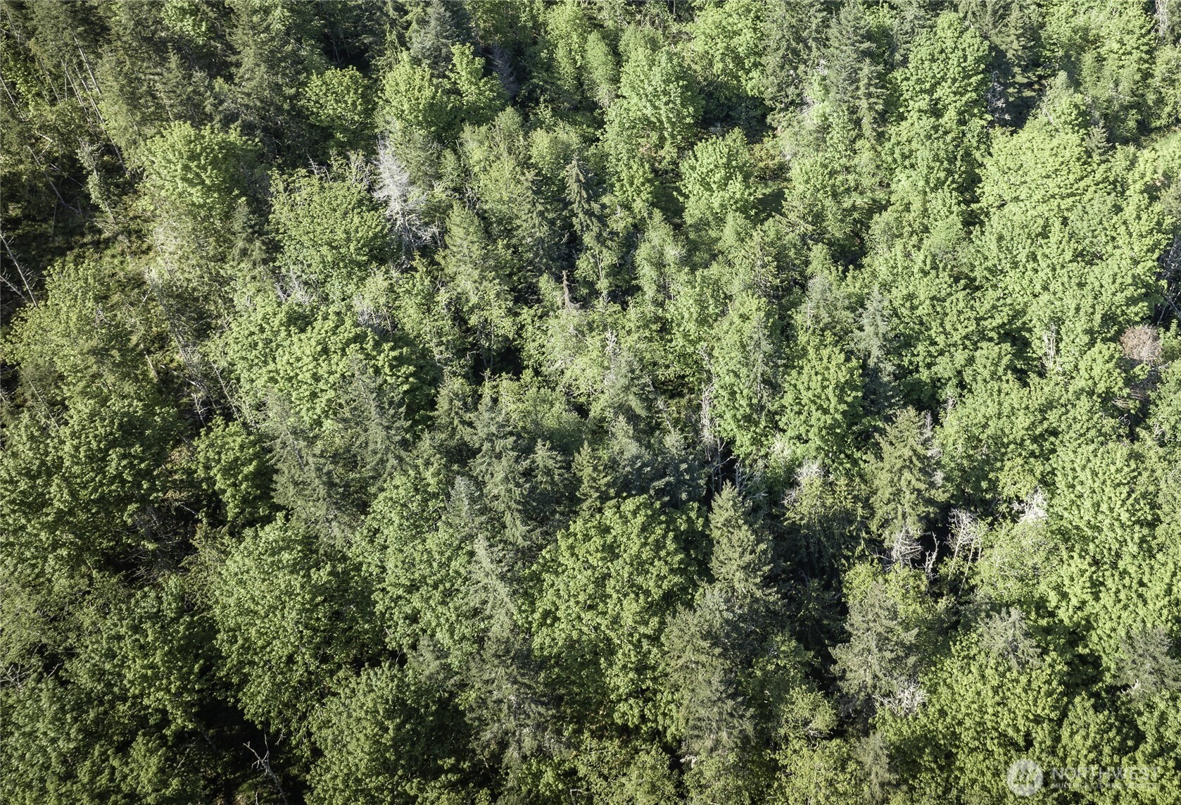 0 Lot 40 Township Line Road , Port Angeles, WA 98362