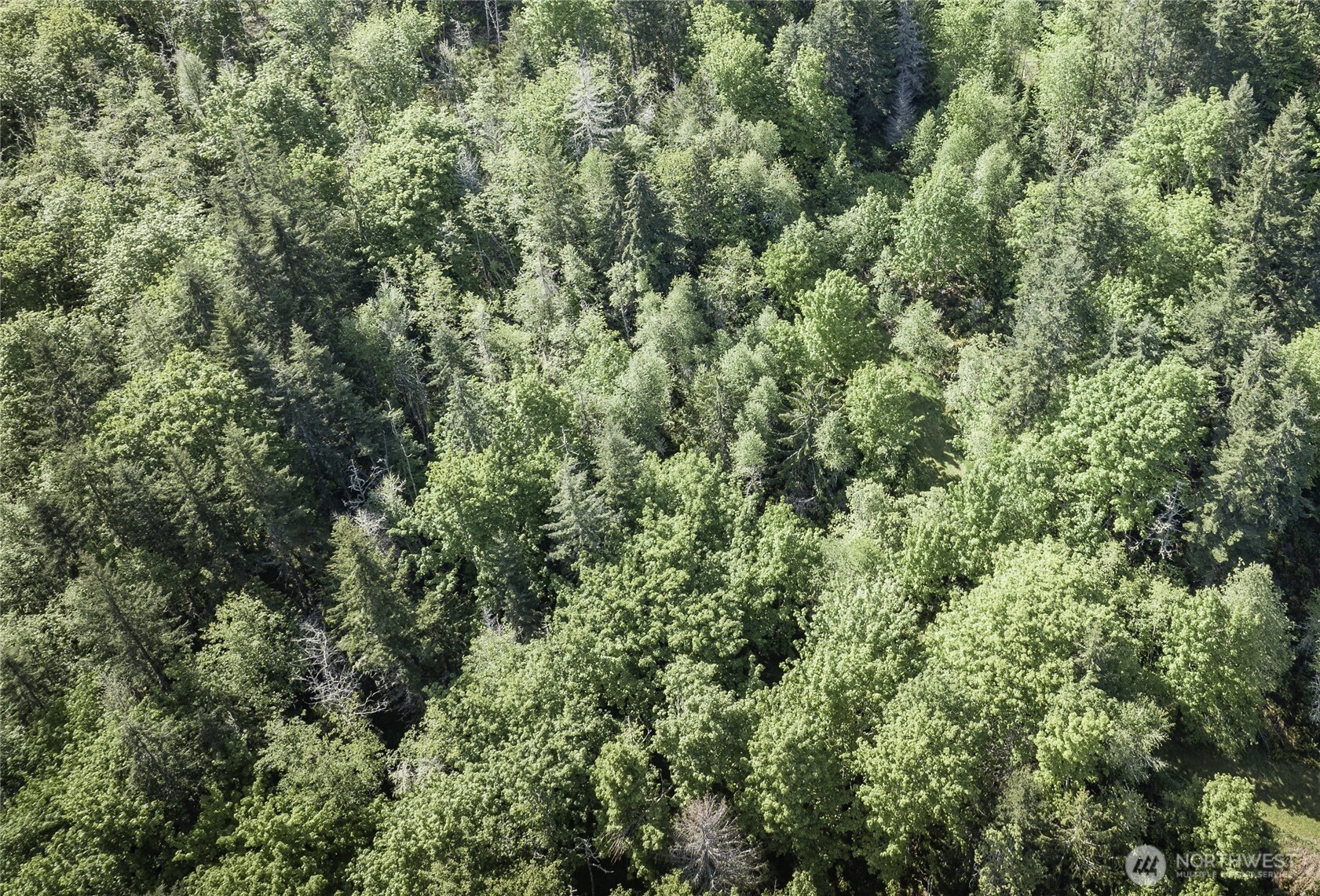 0 Lot 40 Township Line Road , Port Angeles, WA 98362