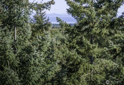 0 Lot 40 Township Line Road , Port Angeles, WA 98362 - Photo 29