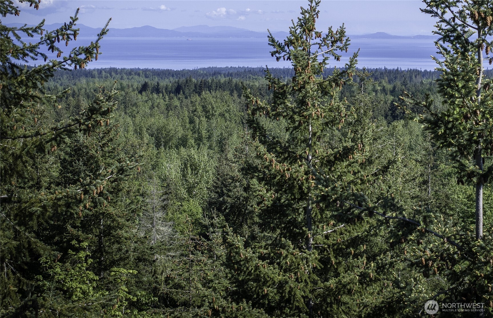 0 Lot 40 Township Line Road , Port Angeles, WA 98362