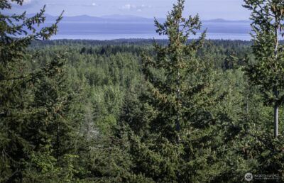 0 Lot 40 Township Line Road , Port Angeles, WA 98362 - Photo 30