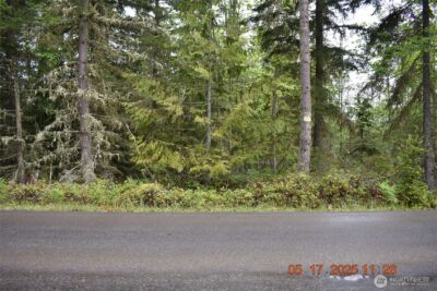 0 Lot 40 Township Line Road , Port Angeles, WA 98362 - Photo 3