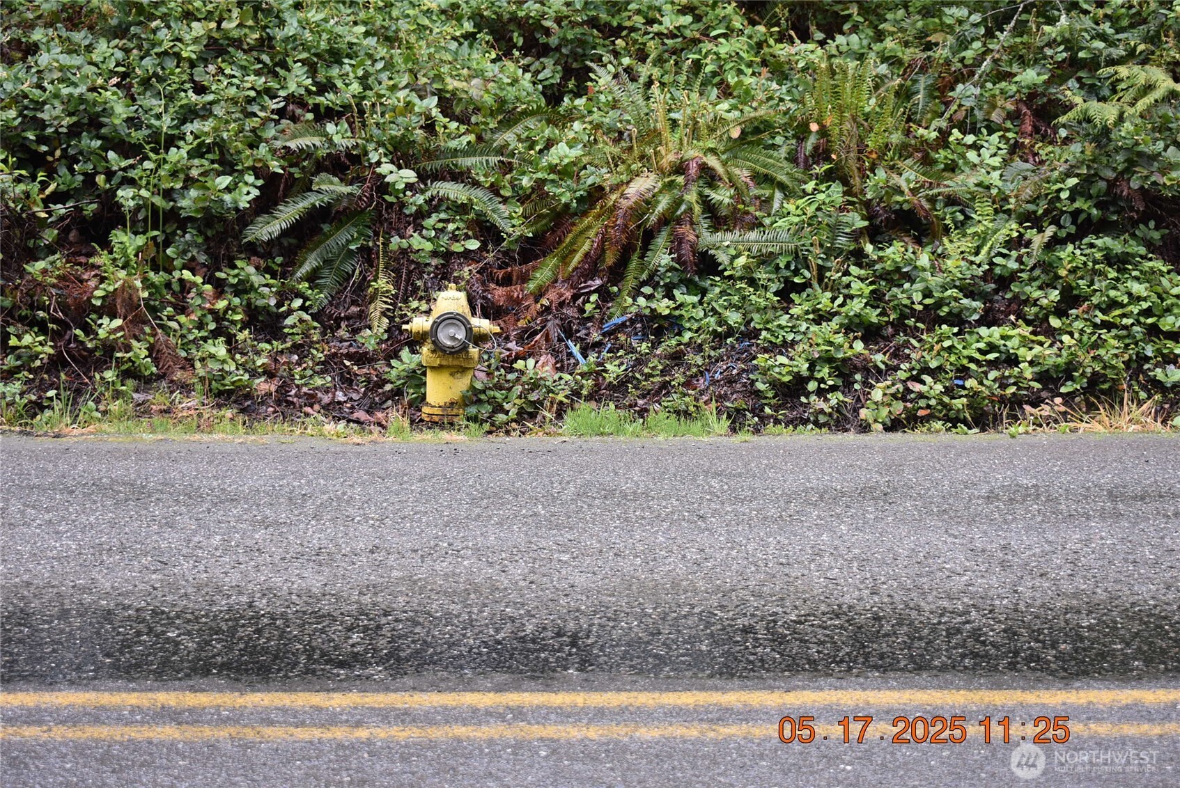 0 Lot 40 Township Line Road , Port Angeles, WA 98362