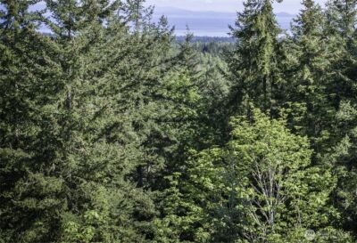 0 Lot 40 Township Line Road , Port Angeles, WA 98362 - Photo 32
