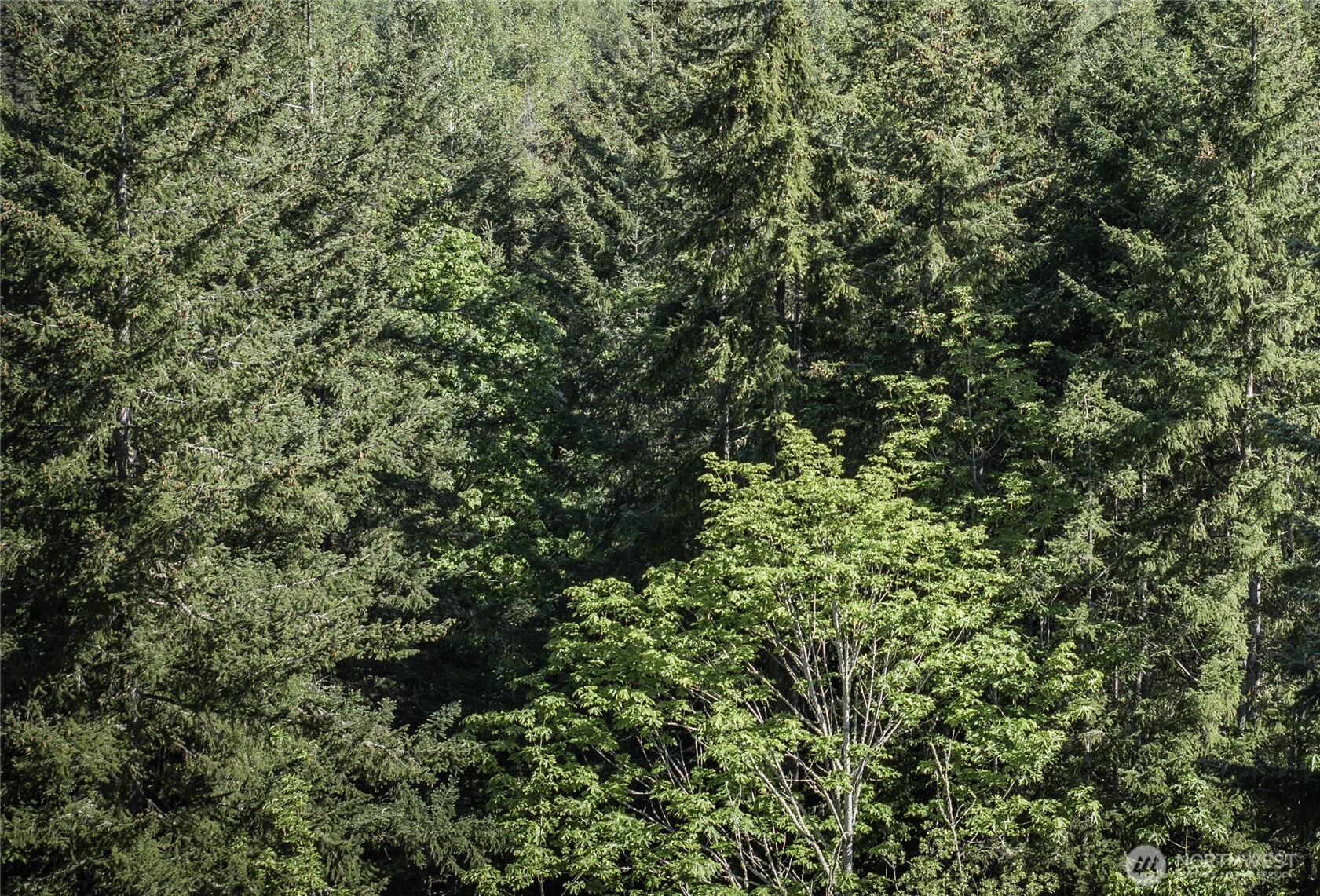 0 Lot 40 Township Line Road , Port Angeles, WA 98362