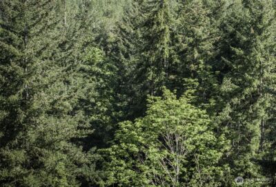 0 Lot 40 Township Line Road , Port Angeles, WA 98362 - Photo 33