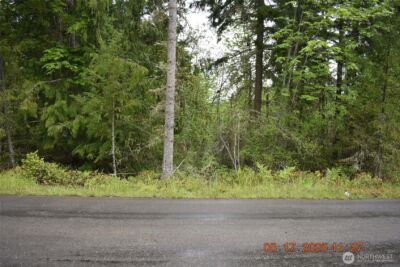 0 Lot 40 Township Line Road , Port Angeles, WA 98362 - Photo 6