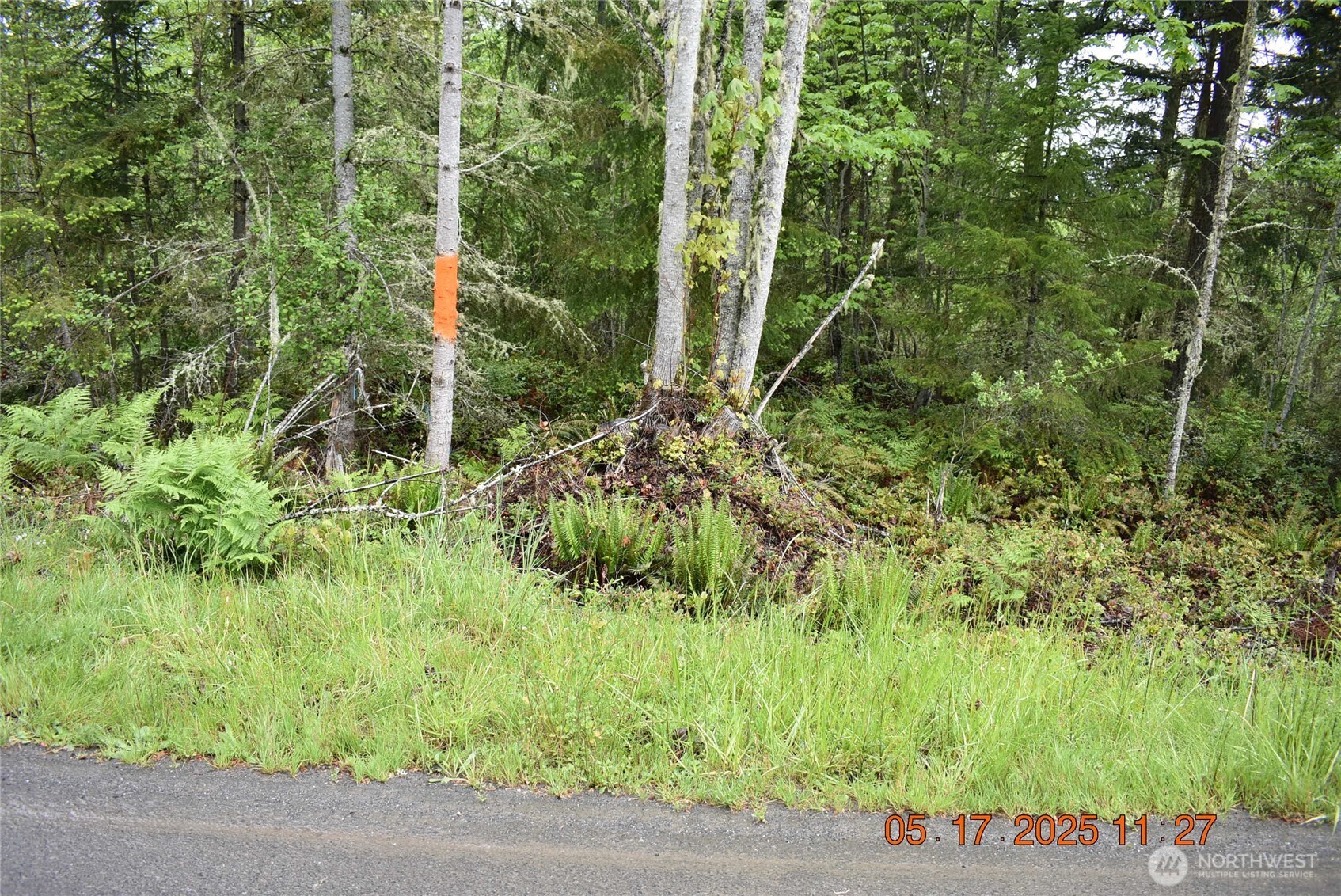 0 Lot 40 Township Line Road , Port Angeles, WA 98362