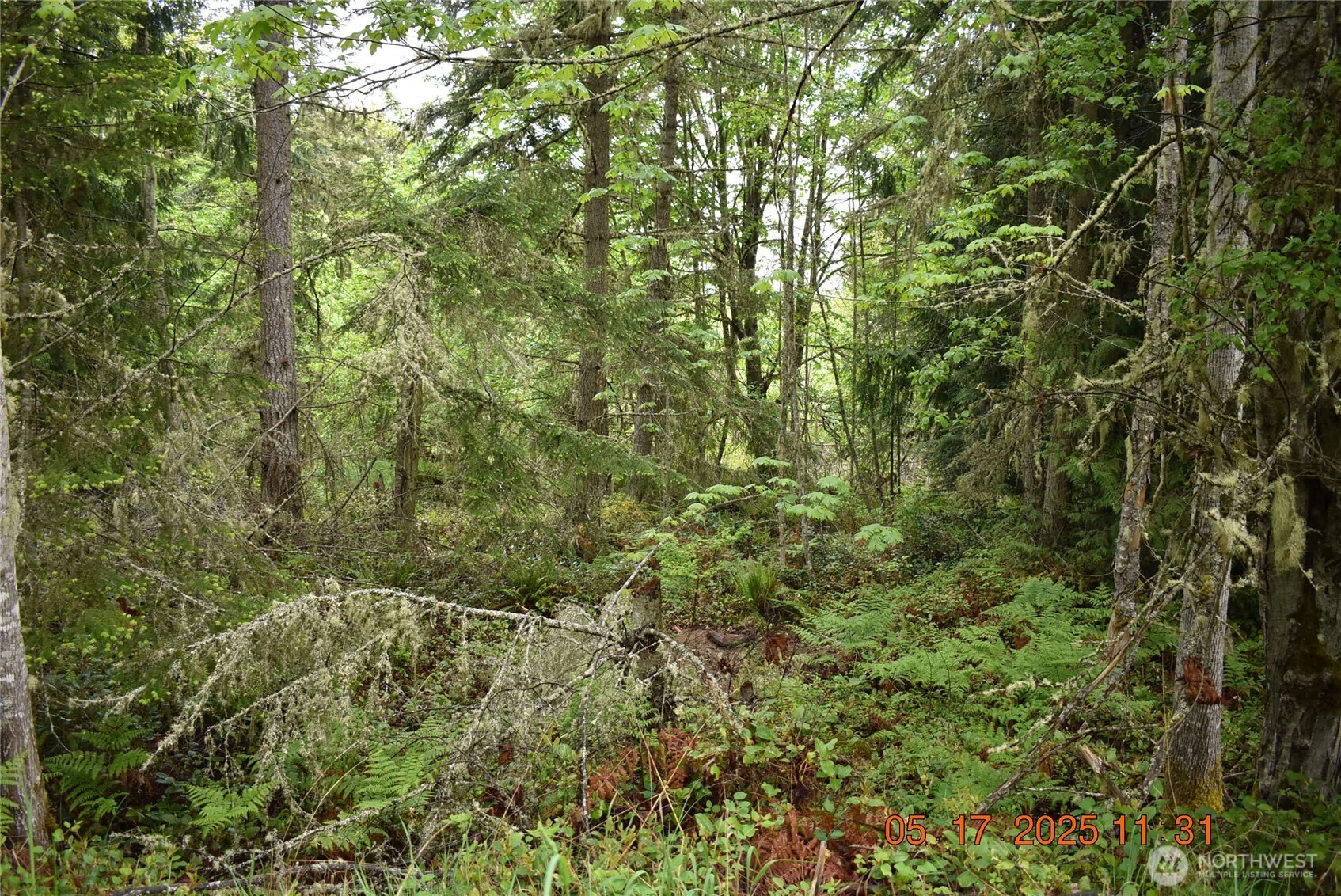 0 Lot 40 Township Line Road , Port Angeles, WA 98362