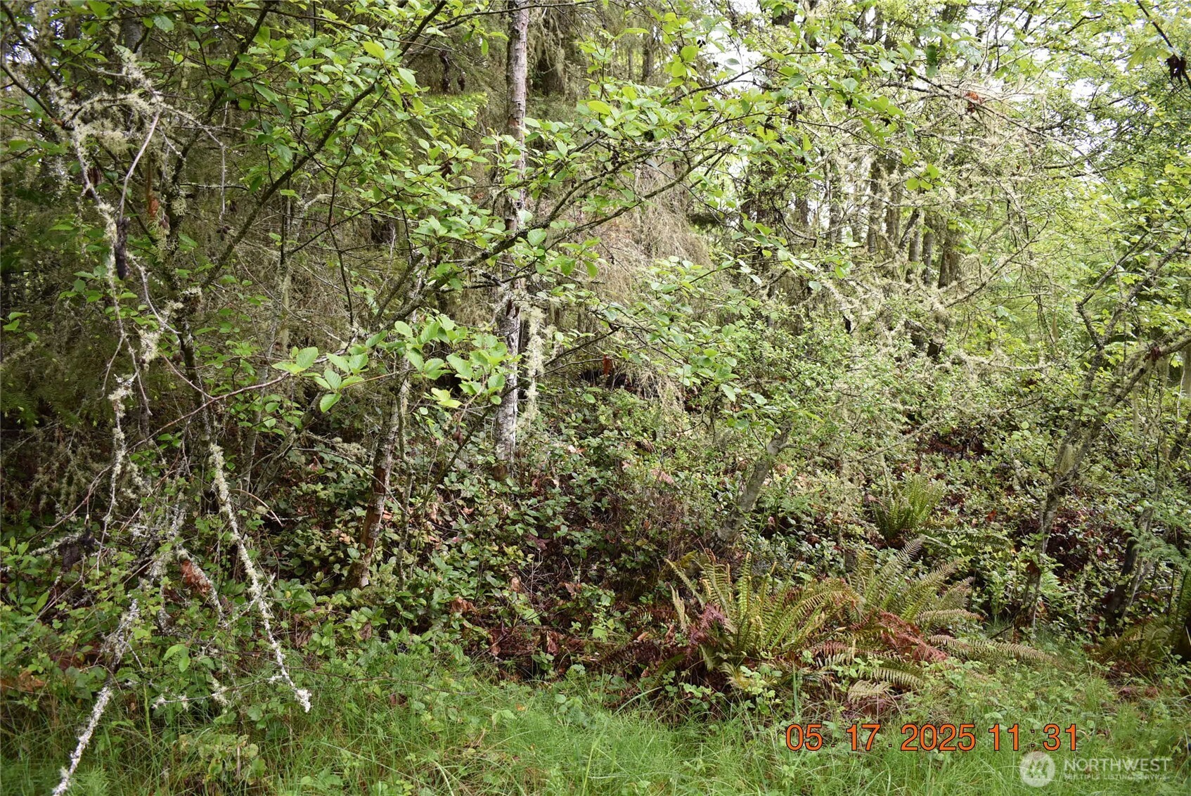 0 Lot 40 Township Line Road , Port Angeles, WA 98362