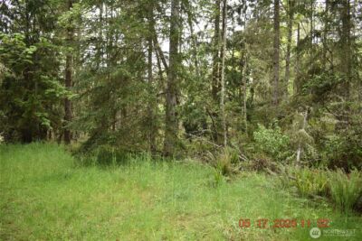 0 Lot 40 Township Line Road , Port Angeles, WA 98362 - Photo 10