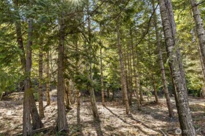 74 Liberty Bell Lane , Cle Elum, WA 98922 - Photo 2