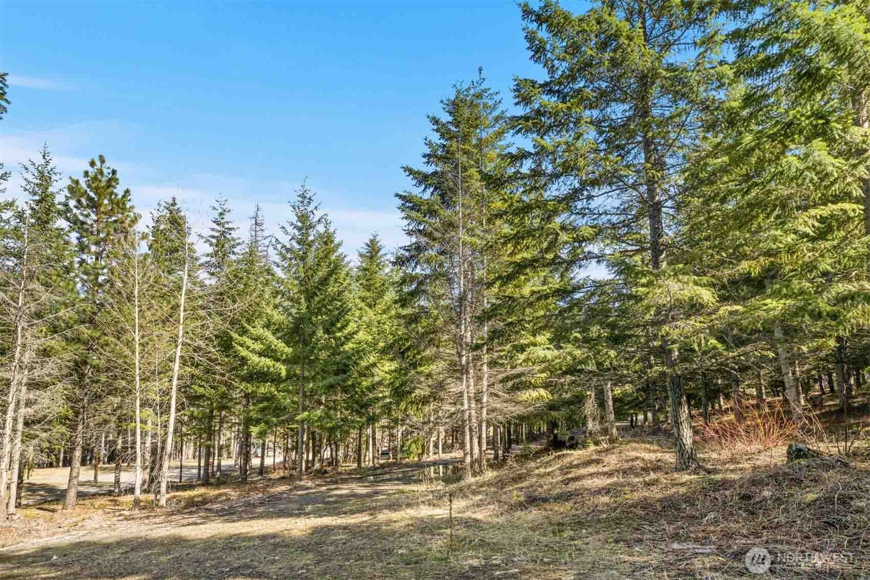 74 Liberty Bell Lane , Cle Elum, WA 98922