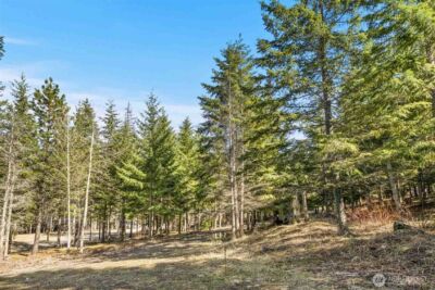 74 Liberty Bell Lane , Cle Elum, WA 98922 - Photo 3