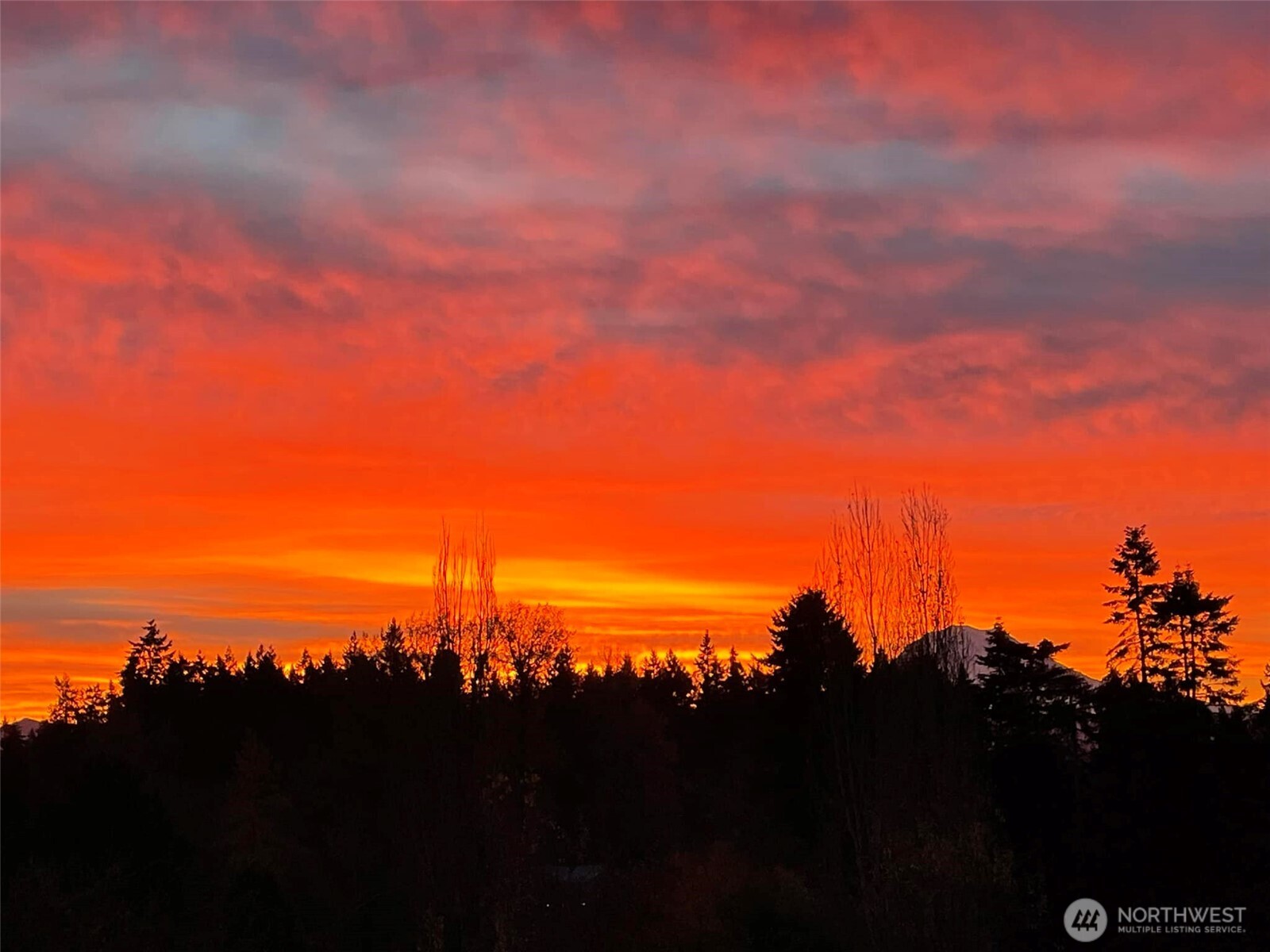 8603 Woodland Avenue E, Puyallup, WA 98371