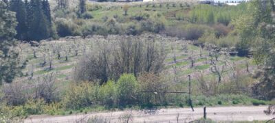8010 Green Rd , Peshastin, WA 98847 - Photo 1