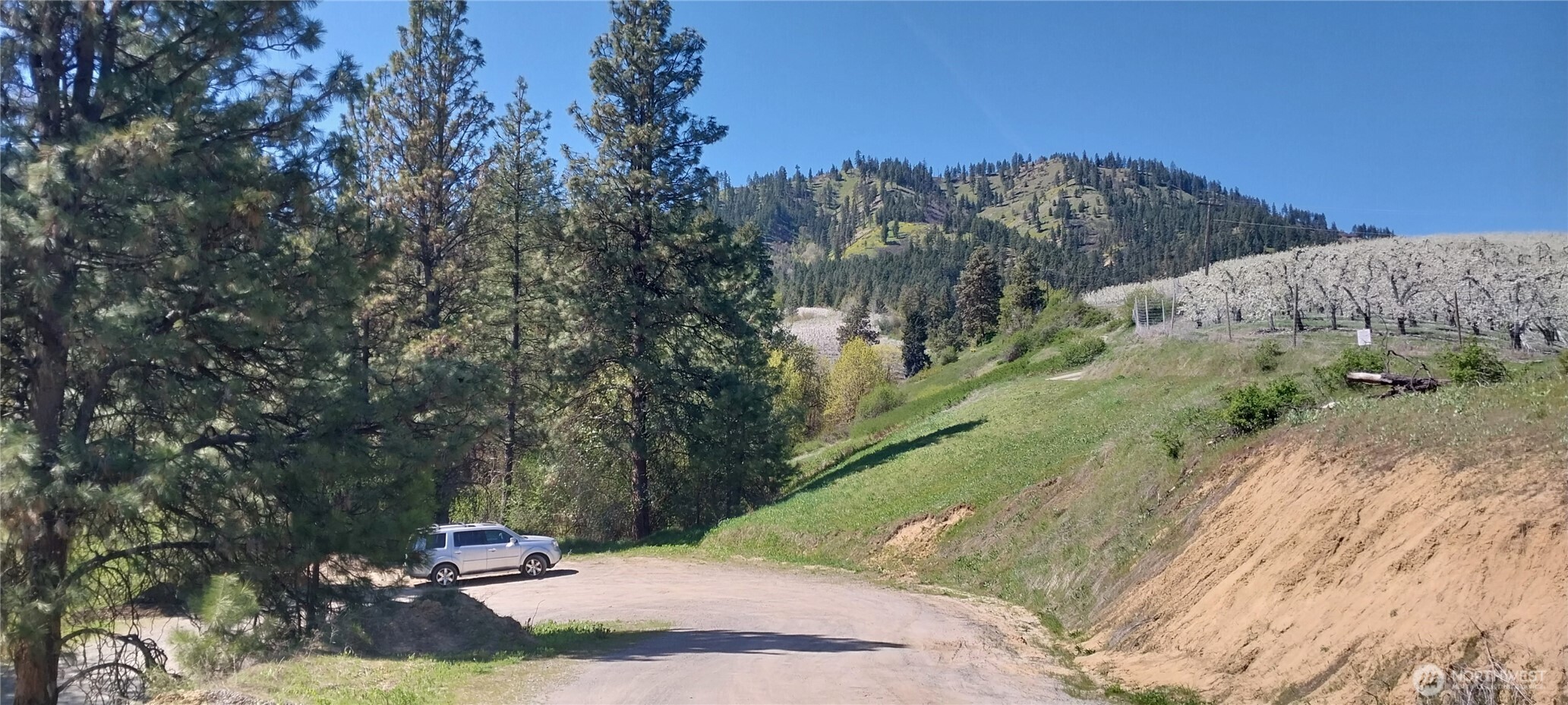8010 Green Rd , Peshastin, WA 98847