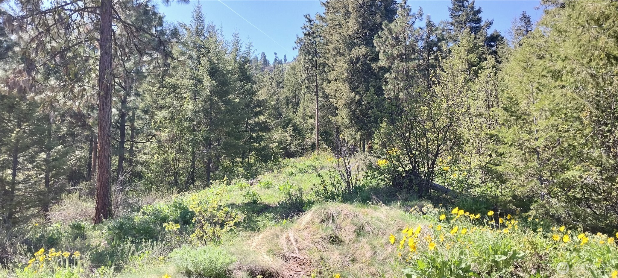 8010 Green Rd , Peshastin, WA 98847