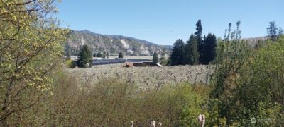 8010 Green Rd , Peshastin, WA 98847 - Photo 22