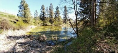 8010 Green Rd , Peshastin, WA 98847 - Photo 23
